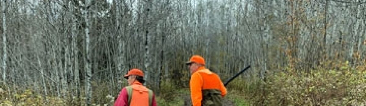Humbled by Ruffed Grouse in Michigan’s Upper Peninsula