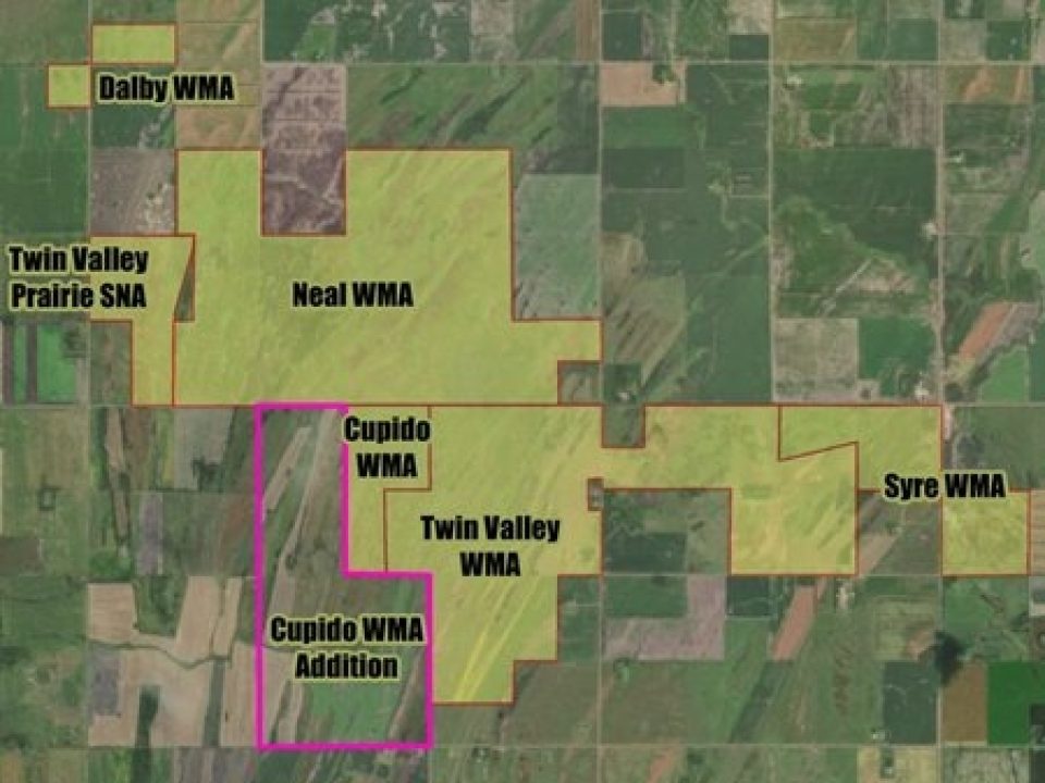Pheasants Forever and Minnesota Prairie Chicken Society Lead 955-Acre WMA Addition with Outdoor Heritage Funding