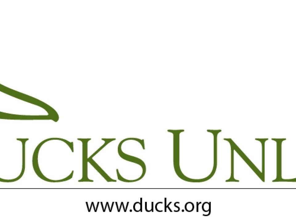 Ducks Unlimited Offering Online Auctions for First Time in History