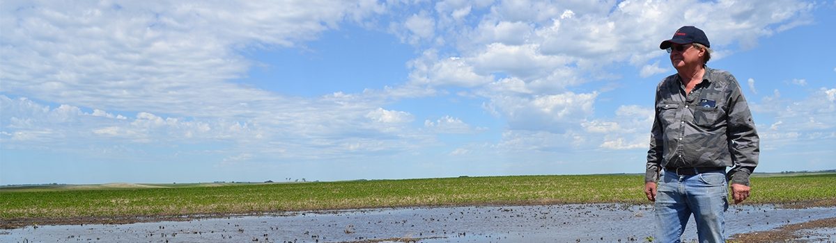 Delta Waterfowl’s ‘Working Wetlands’ Makes Conservation History as Enrollments Open