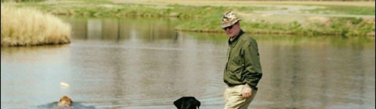 Experts Talk About the Risks and Work-Arounds of Training Your Sporting Dog in Summer Heat