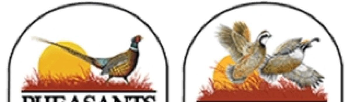 Pheasants Forever & Quail Forever’s Upland Auction