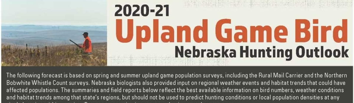 2020-2020 Upland Game Bird Nebraska Hunting Outlook