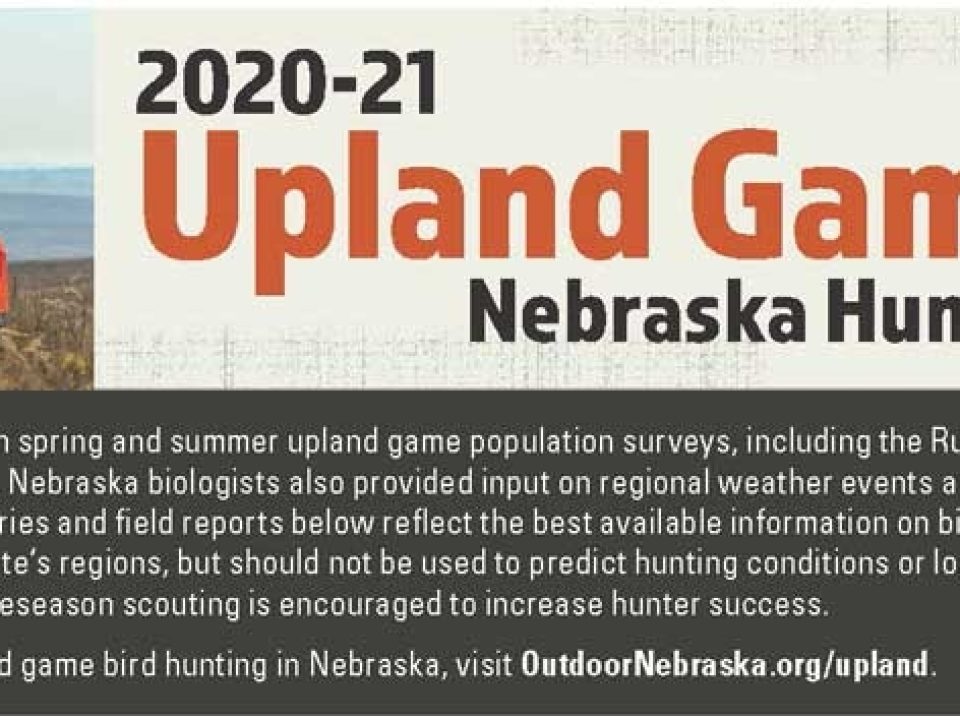 2020-2020 Upland Game Bird Nebraska Hunting Outlook