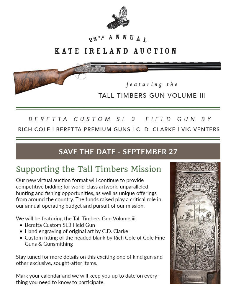 Auction Promo top graphic 1