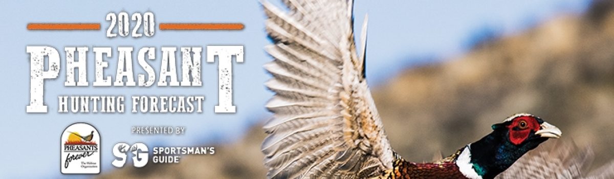 2020 Pheasant Hunting Forecast