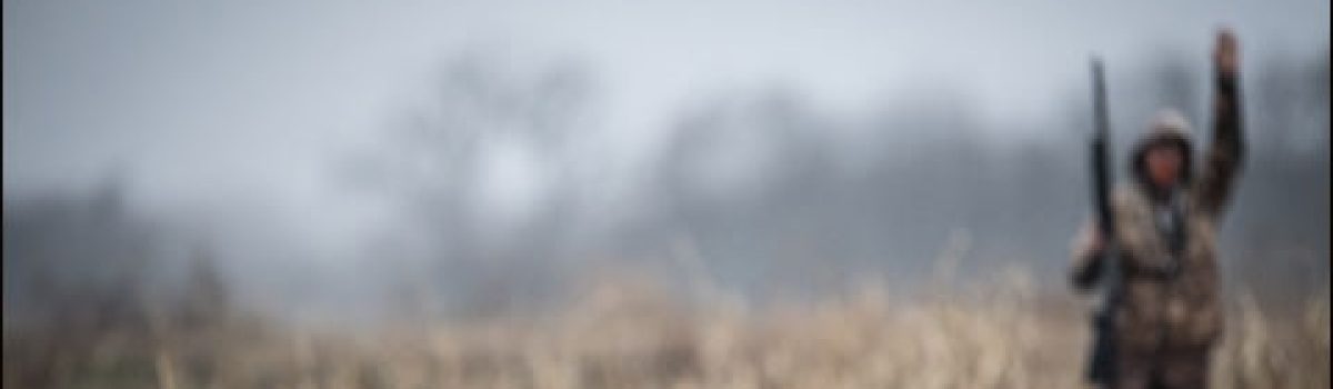Know Your Sporting Dog’s Individual Nutritional Requirements