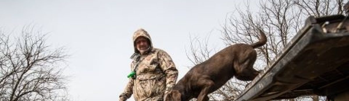 Help Unleash Your Sporting Dog’s Potential