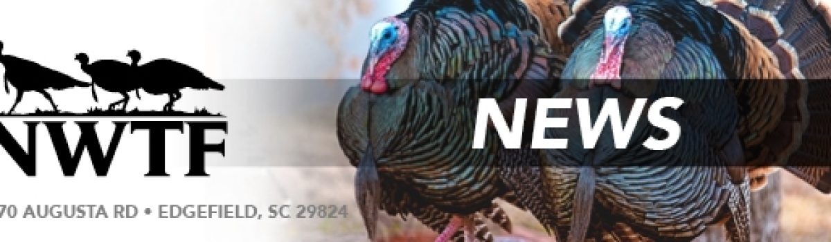 NWTF Now Accepting Wild Turkey Record Submissions Online