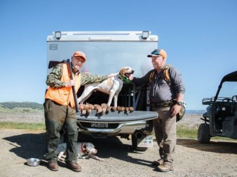 The Triumphant Rise of Wing & Barrel Ranch in California’s Sonoma County Wine Country: Part 2