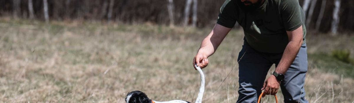 Preseason Training Tips from the Pros – Part 2