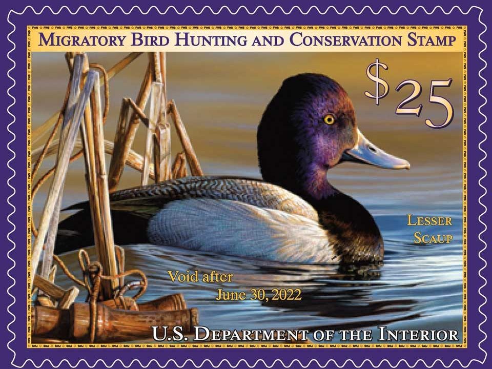 Join the U.S. Fish and Wildlife Service for the  2021 Virtual Federal Duck Stamp Art Contest
