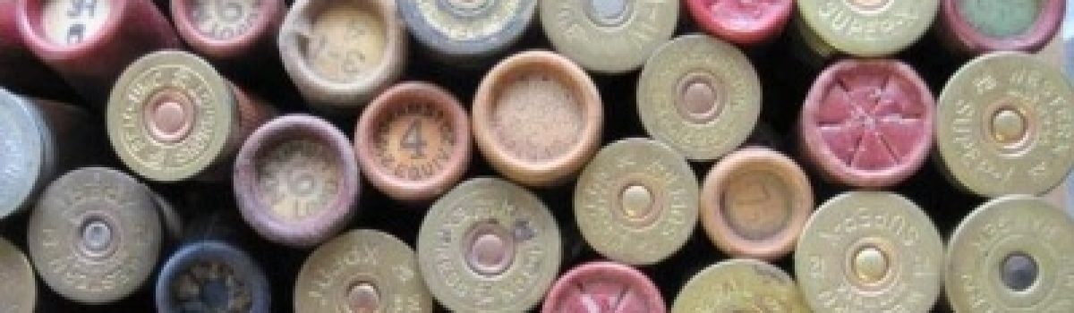 6 Fine-Print Reasons for Insuring Your Shotgun. Part 3: Oops! Wrong Ammo