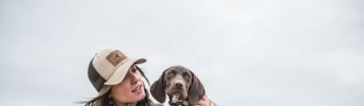 What To Feed a Sporting Breed Puppy