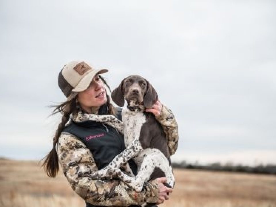 What To Feed a Sporting Breed Puppy