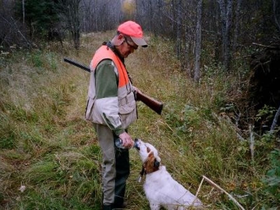 The Grouse Safari