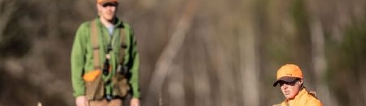 First Season Expectations