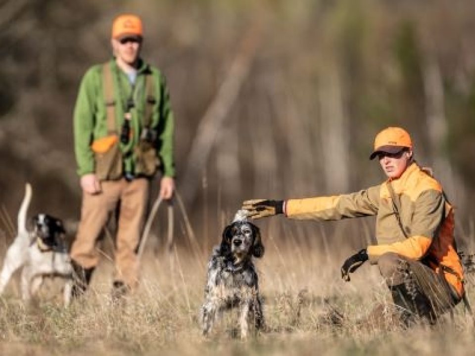 First Season Expectations