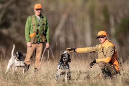 The hunting life bushing 2024 dogs