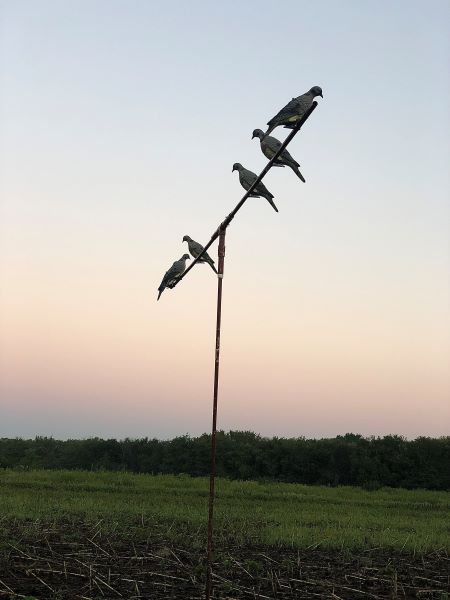 Dove decoys on elevated wire