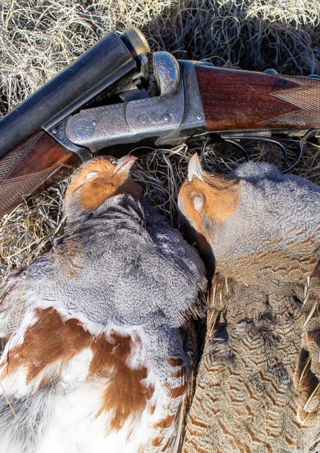 In Pursuit Of North Dakota’s Upland Smorgasbord | Shotgun Life