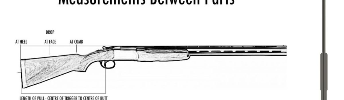 Briefs Archives | Shotgun Life