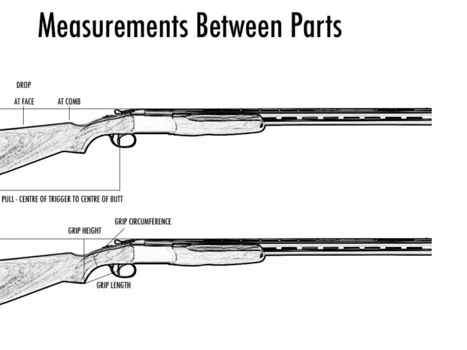 How to Measure Yourself for a Shotgun Fit