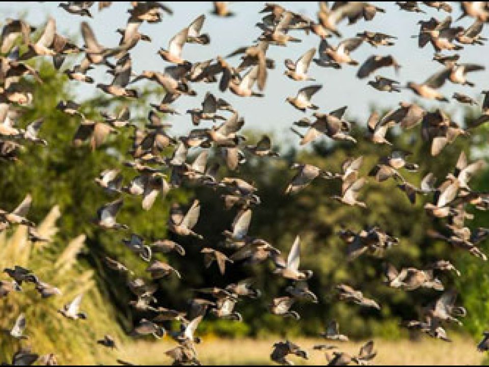 With a New Shell Shortage in Argentina, Timing Your Trip is More Important Than Ever