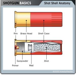 Unraveling The Economic Viability Of Reloading Shotgun Shells