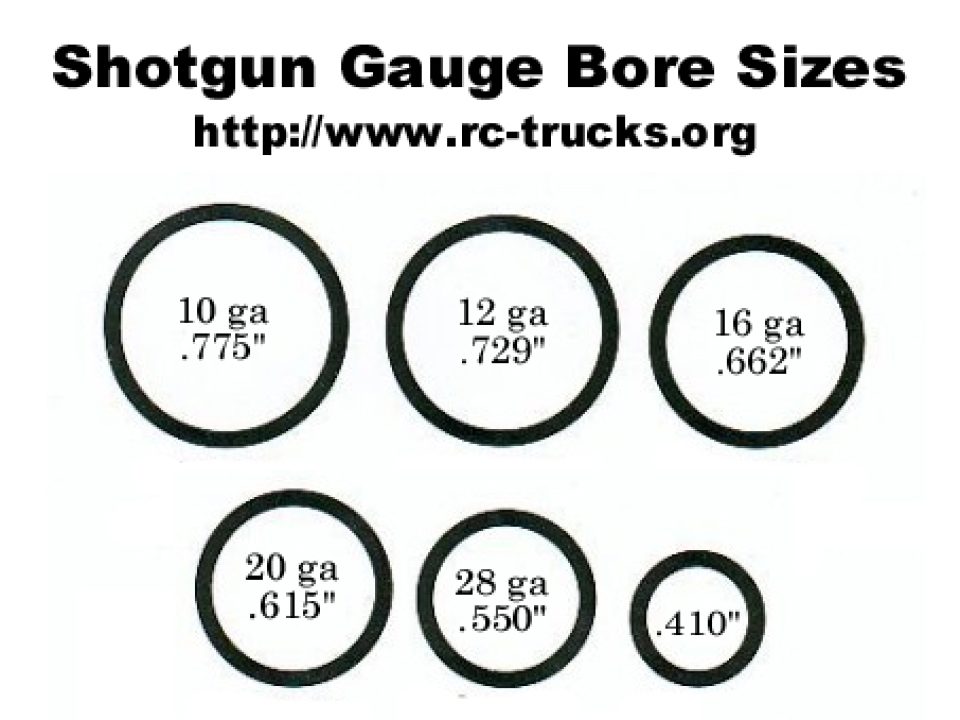 Shotgun Shell Gauges: Unraveling the Key Differences