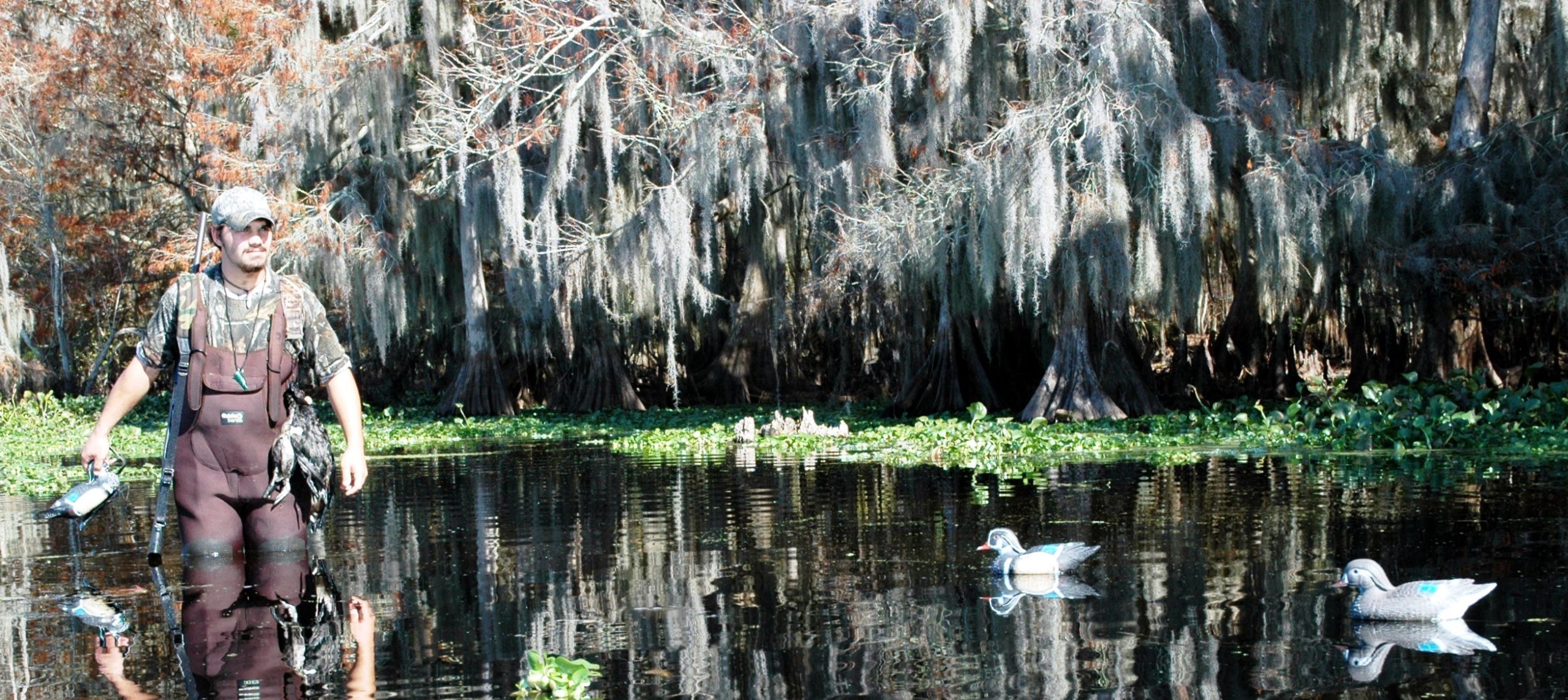 Duck Decoying Strategies to Bag More Birds
