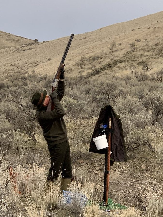 Driven Pheasant Line Shoots