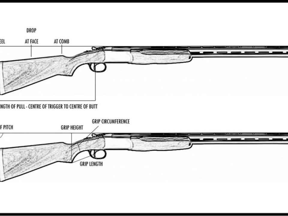 The Important Aspects of Shotgun Fit