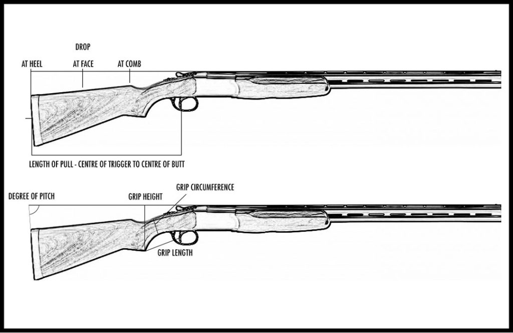 The Important Aspects Of Shotgun Fit | Shotgun Life