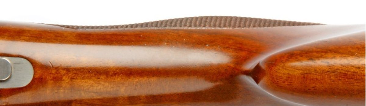 Are Shotgun Palm Swells Worth the Hype?