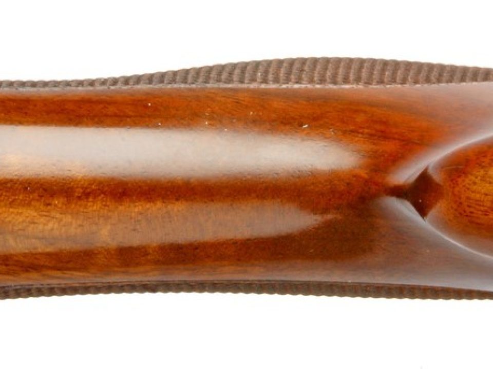 Are Shotgun Palm Swells Worth the Hype?