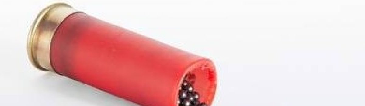 Weighing the Price and Performance of Tungsten Shotgun Shells