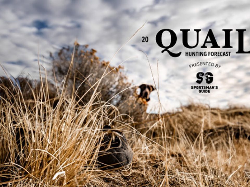 OPTIMISM IS IN THE AIR