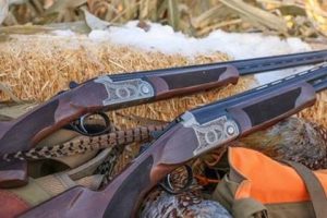 6 Fine-Print Reasons for Insuring Your Shotgun. Part 6: Unexpected Firearm Mishaps 1 Pointer Acrius Pair