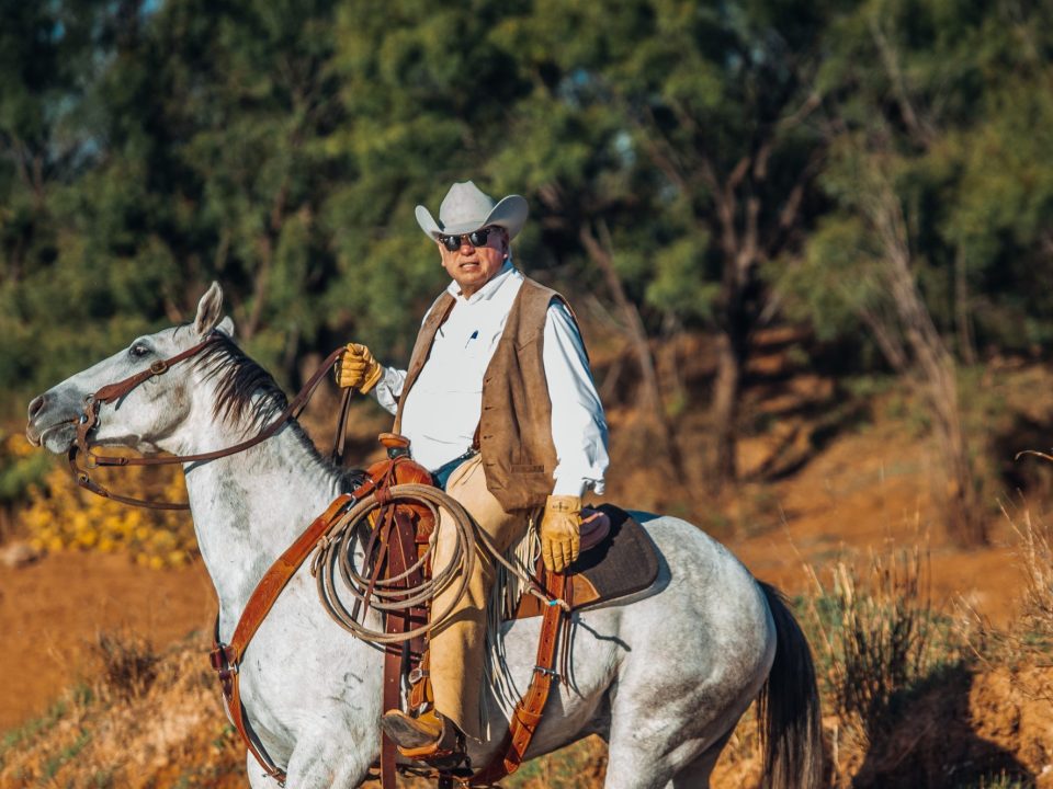 An All-Wild Quail Hunt at Guitar Ranch in Spur, Texas