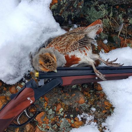 Chukar Hunting Without a Dog 1 CZ Bobwhite 28 gauge with a Nevada Hungarian Partridge (Gray Partridge).