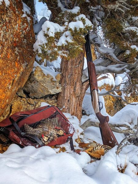 Chukar Hunting Without a Dog 4 Benelli 828U 12 gauge with a full game bag of Nevada Chukar on a snowy day.