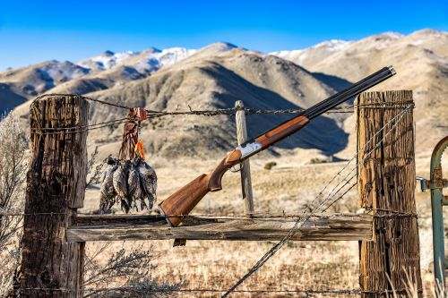 The Brand New Affordable Pointer F12 Over/Under is Here 1 Pointer F12